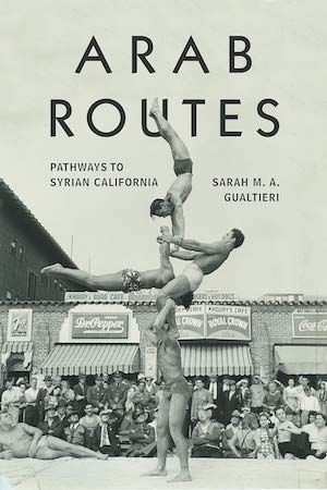 Arab Routes by Sarah Gualtieri book cover