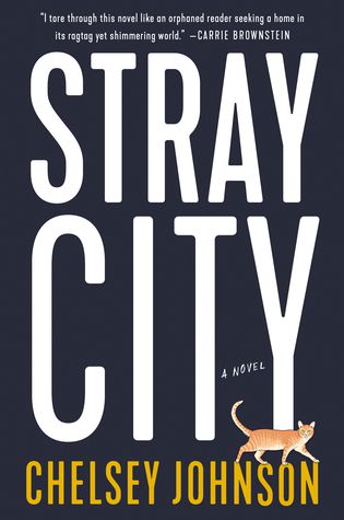 Stray City by Chelsey Johnson cover