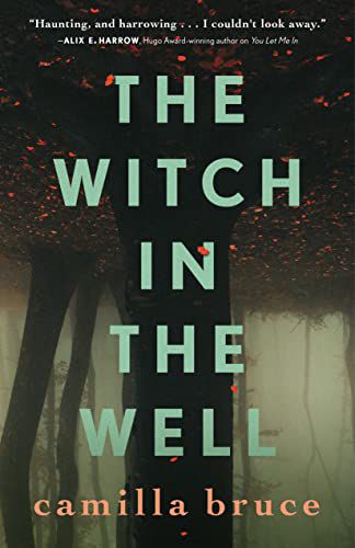 Book cover for The Witch in the Well