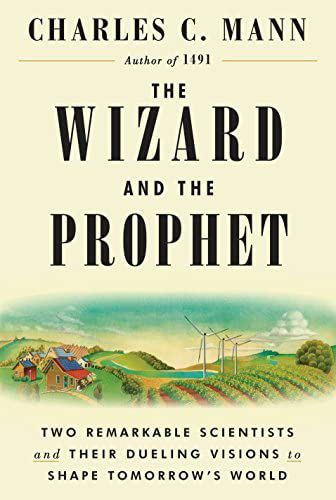 Book cover for The Wizard and the Prophet