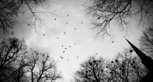 a black and white photo of birds flying past bare branches